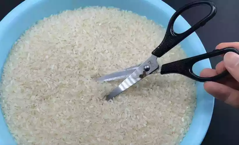 剪刀放进大米里面的作用（剪刀放进大米里面有什么作用）-第1张