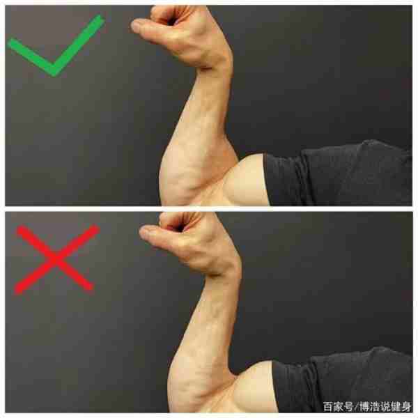 科学锻炼小臂方法（新手训练小臂的方法）-第1张