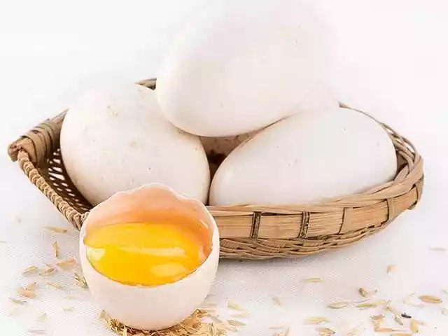 孕妇吃鹅蛋的5大好处（孕妇吃鹅蛋有什么好处和作用）-第1张
