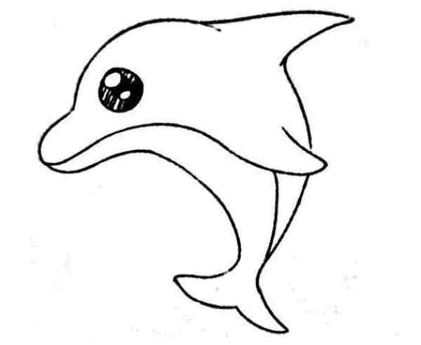 卡通海豚简笔画（海豚简笔画的画法）-第4张