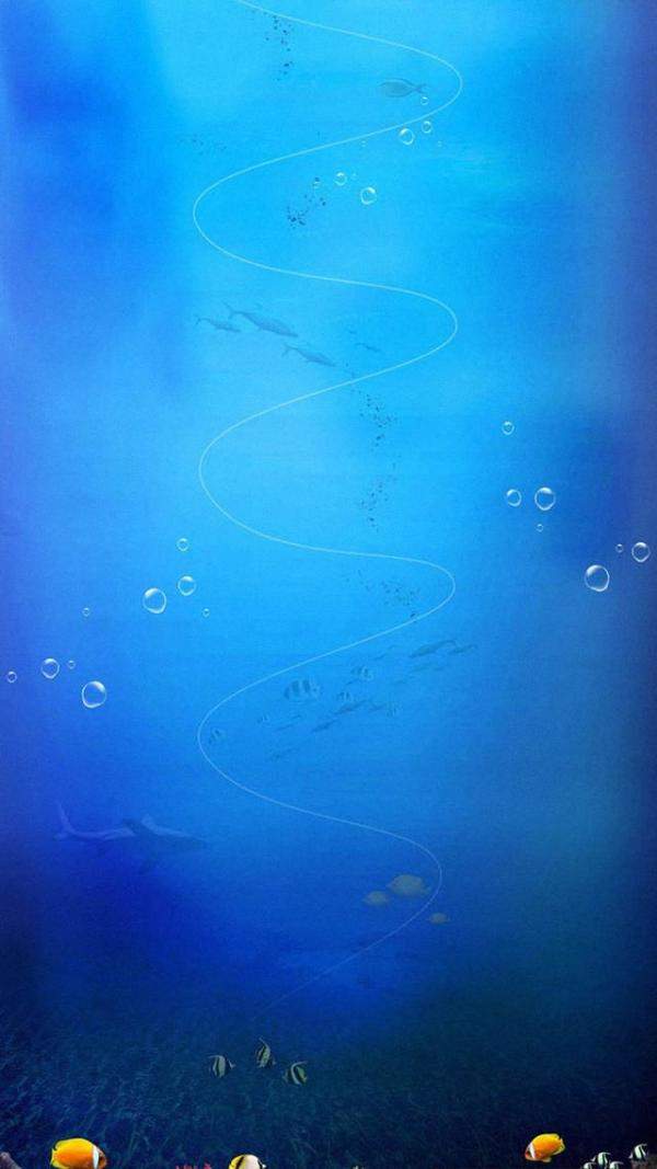 美妙绝伦的海底世界手机壁纸（壁纸超清全面屏海底世界）-第10张