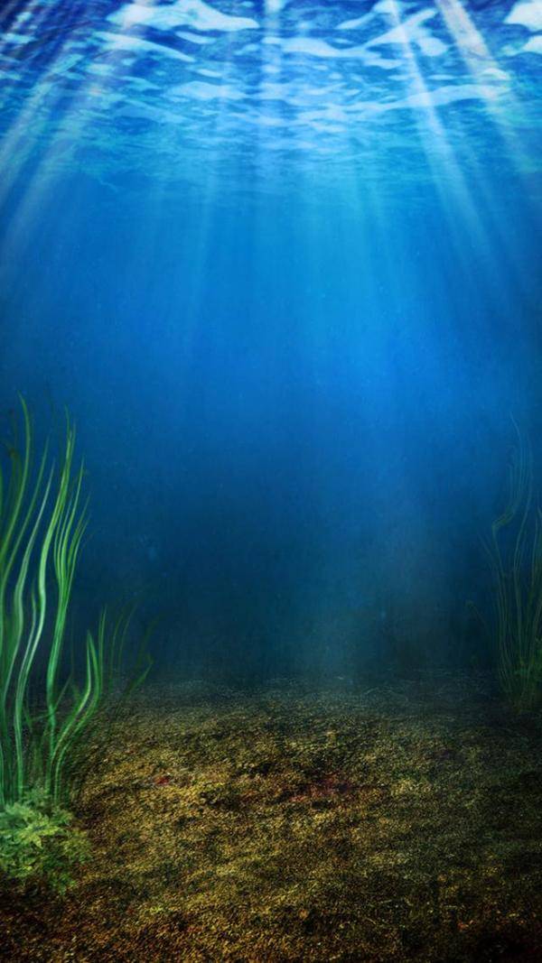 美妙绝伦的海底世界手机壁纸（壁纸超清全面屏海底世界）-第14张