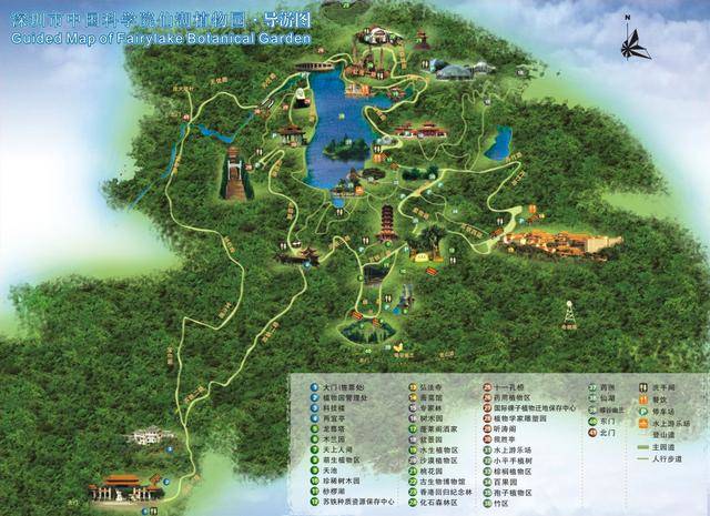 给你一张地图去深圳玩吧（一个人去深圳旅游攻略）-第32张