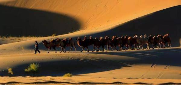 内蒙古巴丹吉林沙漠（巴丹吉林沙漠腹地面临什么问题）-第1张