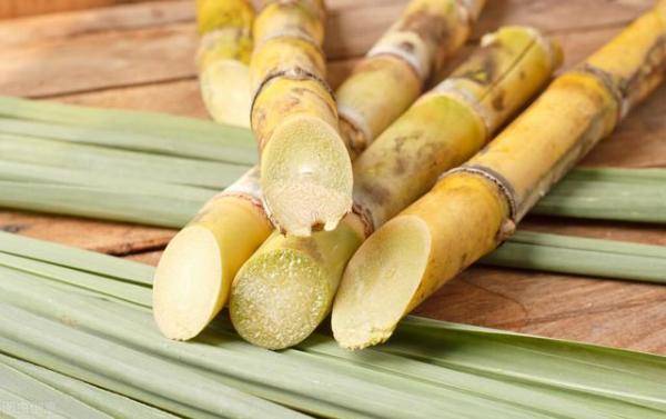 在江门五邑过年必备的甘蔗，漳州青草蔗制作方法-第3张