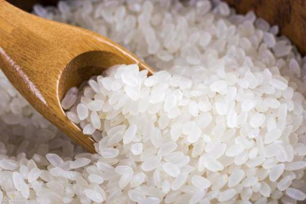 买大米挑粳米（粳米和大米怎么区分）-第3张