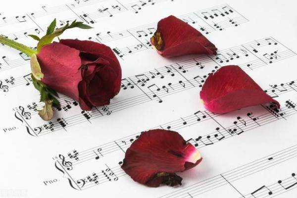 玫瑰玫瑰我爱你背后的爱情故事比歌词更动听（花和玫瑰的爱情故事）-第6张
