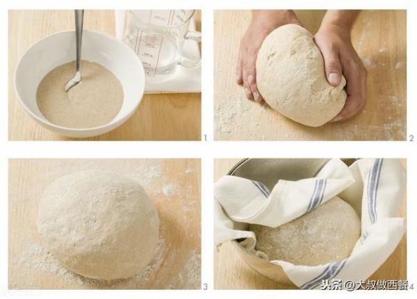 面包里的酵母到底是什么（做面包必须用面包专用酵母吗）-第4张