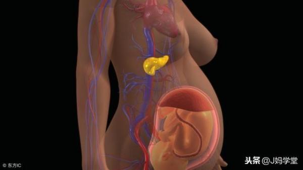 一般胎儿入盆要多久的时间（胎儿已经开始入盆大概多久能生）-第1张