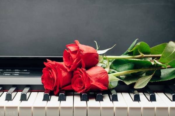 玫瑰玫瑰我爱你背后的爱情故事比歌词更动听（花和玫瑰的爱情故事）-第7张