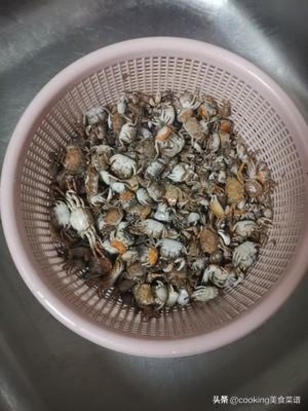家常螃蟹菜谱炸小螃蟹，螃蟹的做法家常炸-第6张