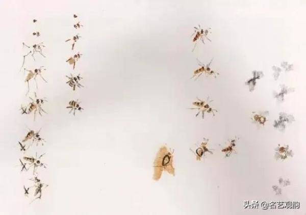 国画技法萧朗先生教你画蜂蝶，国画蜜蜂的最简单的画法-第5张