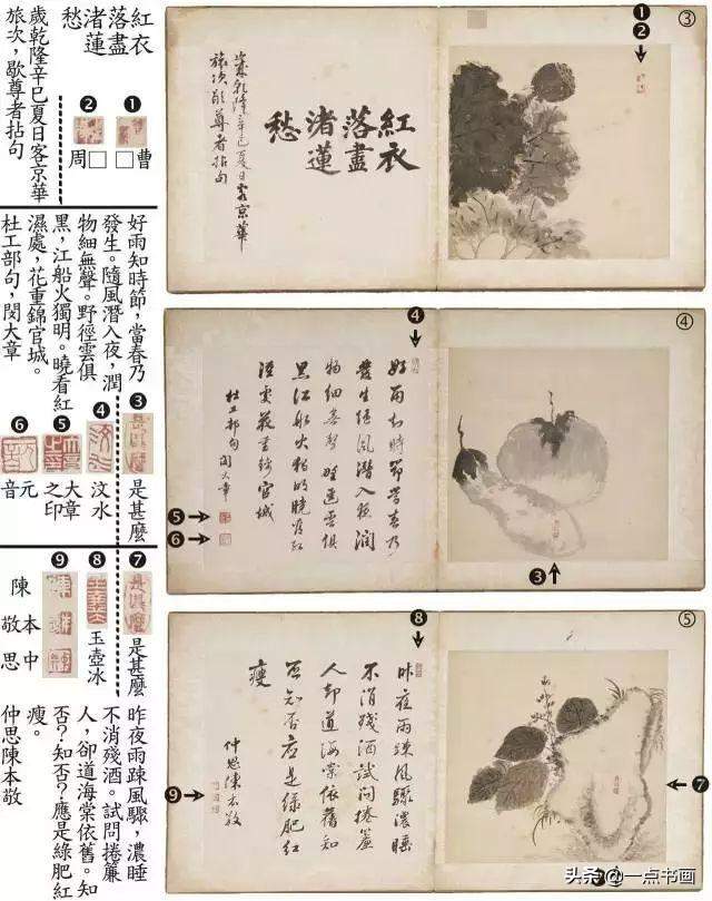 典藏曹雪芹唯一存世的画册惊现（曹雪芹十大经典书）-第5张