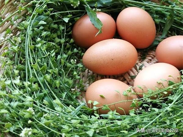 三月三吃荠菜煮鸡蛋的习俗从何而来（三月三吃荠菜煮鸡蛋什么意义）-第3张