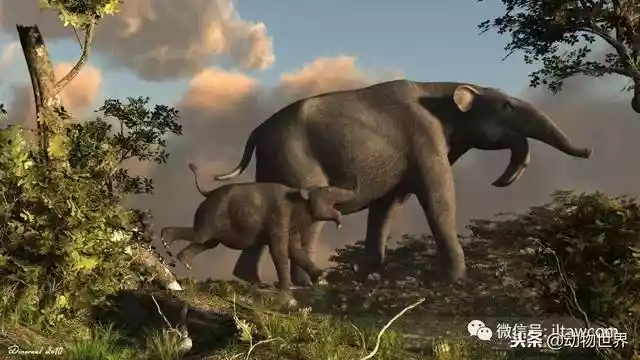 远古巨兽-恐象（最大巨恐象）-第17张