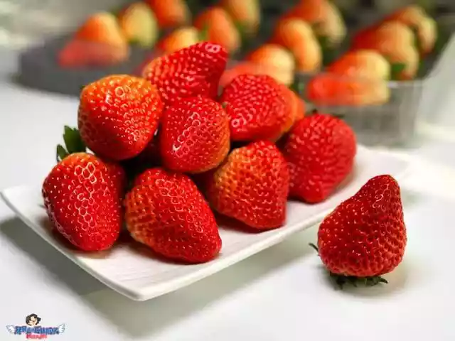 最想吃一盒香甜可人的丹东红颜九九草莓（正宗的丹东九九草莓）-第3张