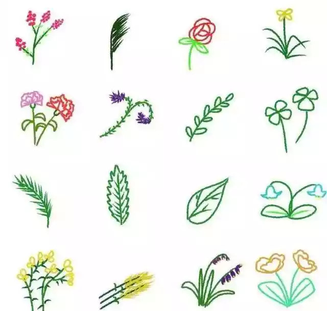 画植物的100种方法（怎样画花草植物简笔画）-第13张