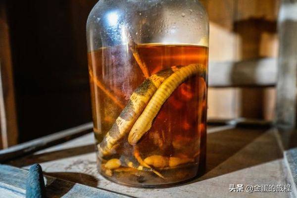 捕蛇者说推广了湖南永州，水蝮蛇有多可怕-第4张