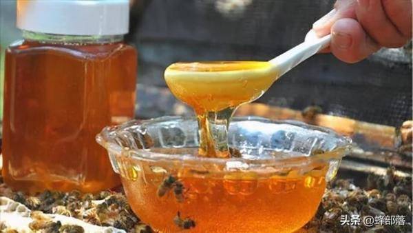 冷水冲蜂蜜会显示，如何辨别泡水后真假蜂蜜-第3张