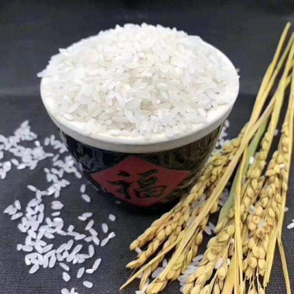 建议给家人吃这5种大米，任何大米都可以做什么好吃的-第8张