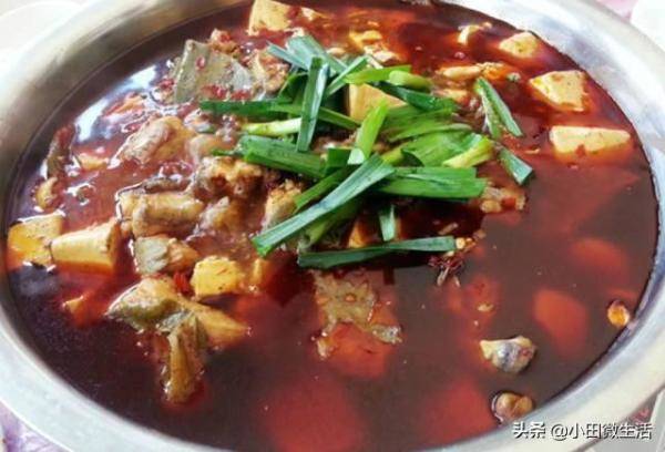 贵州特色美食乌江豆腐鱼，贵州遵义乌江豆腐鱼-第3张