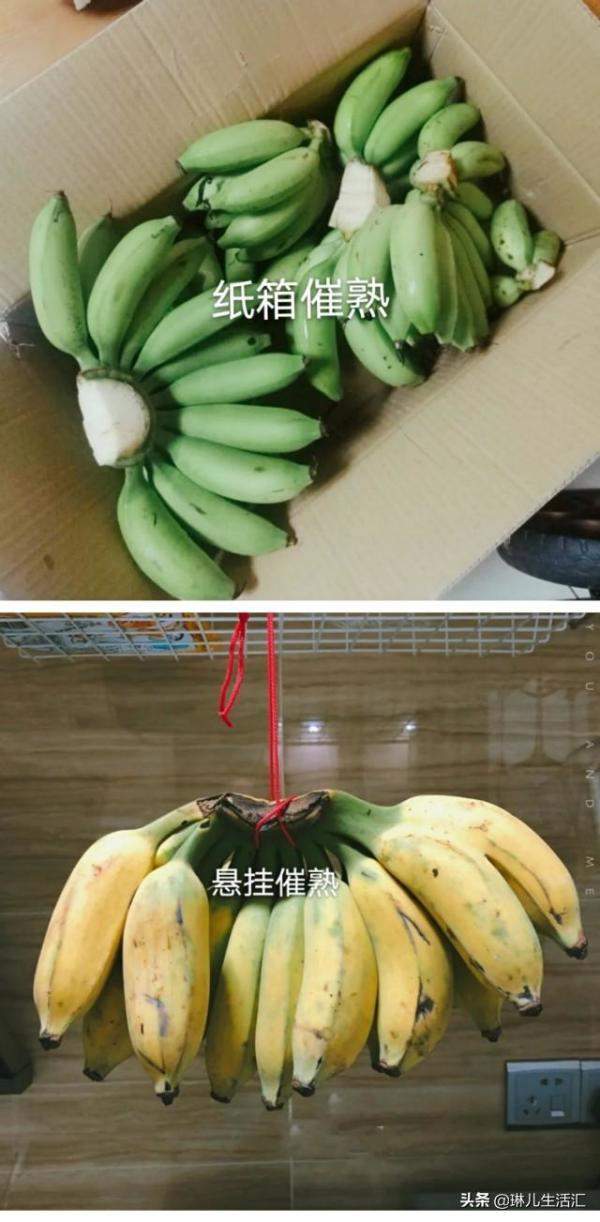 你了解它们的品种吗，香蕉还能这样吃好看又好吃-第12张
