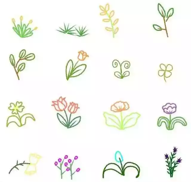 画植物的100种方法（怎样画花草植物简笔画）-第17张