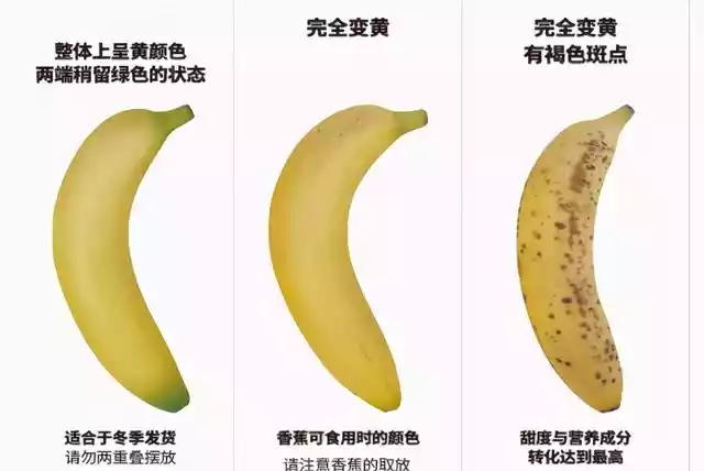 吃了30年才知道香蕉是，香蕉长的好还是短的好吃-第4张