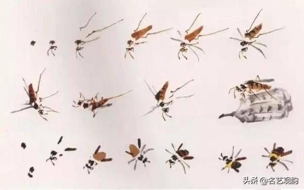 国画技法萧朗先生教你画蜂蝶，国画蜜蜂的最简单的画法-第4张