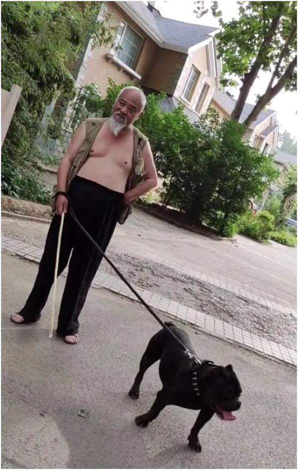 65岁李琦小区溜恶霸犬，李琦与宠物-第1张