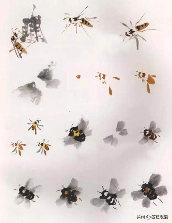 国画技法萧朗先生教你画蜂蝶，国画蜜蜂的最简单的画法-第2张