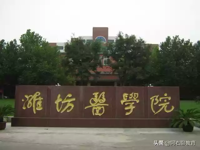 山东潍坊本科高校介绍（山东省潍坊市的高校名单）-第4张