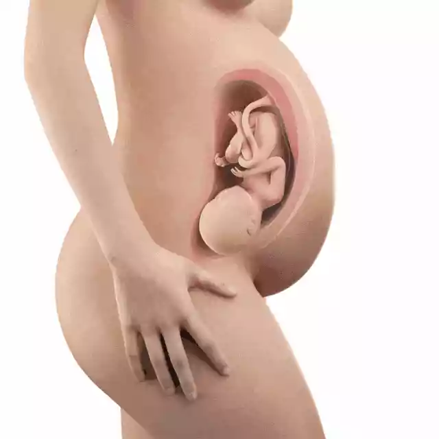 胎儿每个月长什么样（胎儿每月的发育过程图）-第10张