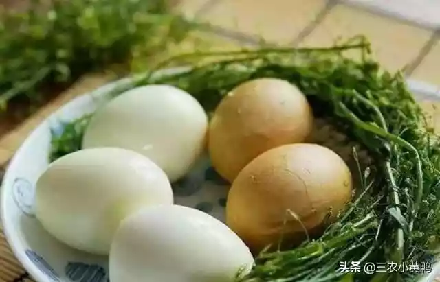 农村俗语三月三（三月三荠菜煮鸡蛋的功效和作用）-第5张