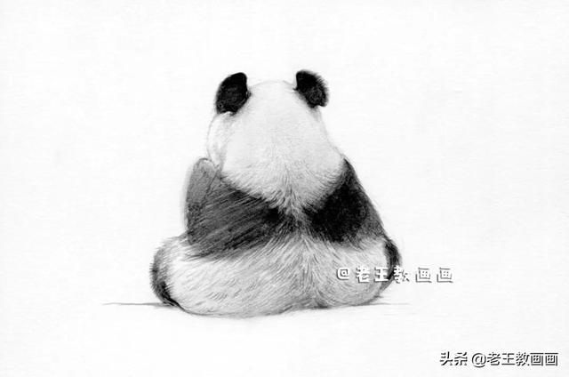 手绘国宝大熊猫（国宝大熊猫怎么画是特别好看的）-第10张