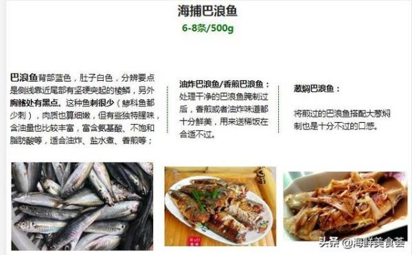 这3种市场常见的海鱼（什么海鱼比较贵又好吃）-第5张