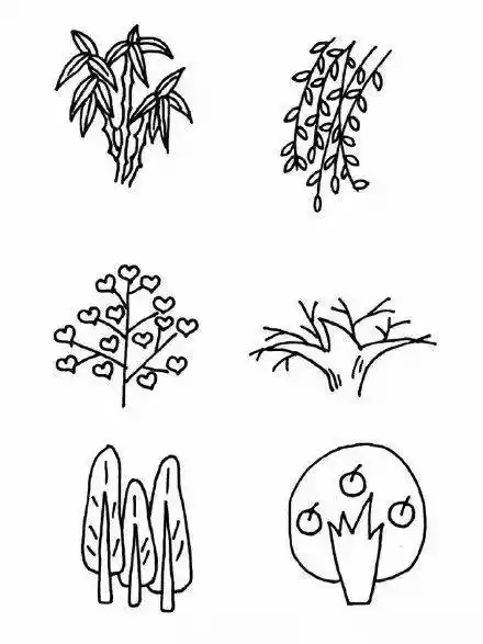 画植物的100种方法（怎样画花草植物简笔画）-第5张