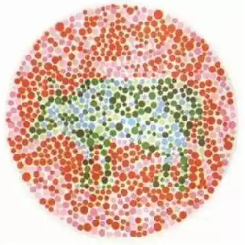 第4张图里有一只熊猫（色盲测试看出所有数字）-第5张