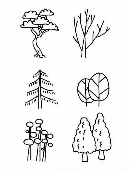 画植物的100种方法（怎样画花草植物简笔画）-第7张