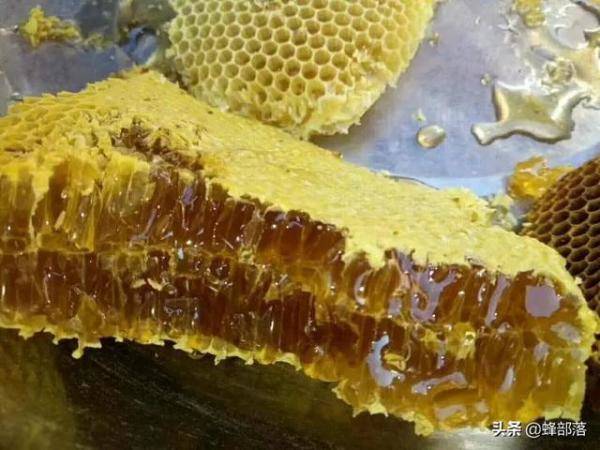 冷水冲蜂蜜会显示，如何辨别泡水后真假蜂蜜-第1张
