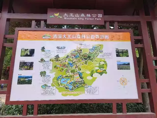 清溪大王山森林公园（清溪大王山森林公园禾雀花开了吗）-第1张