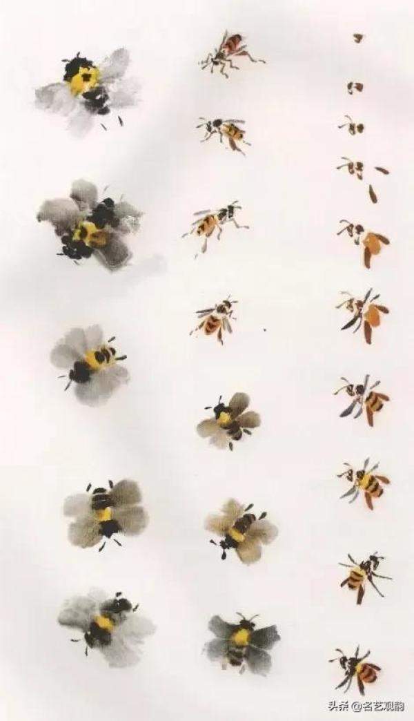 国画技法萧朗先生教你画蜂蝶，国画蜜蜂的最简单的画法-第7张