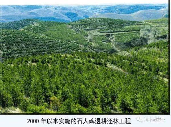 清水河县林业发展历程和变迁，长沙林业发展前景-第8张