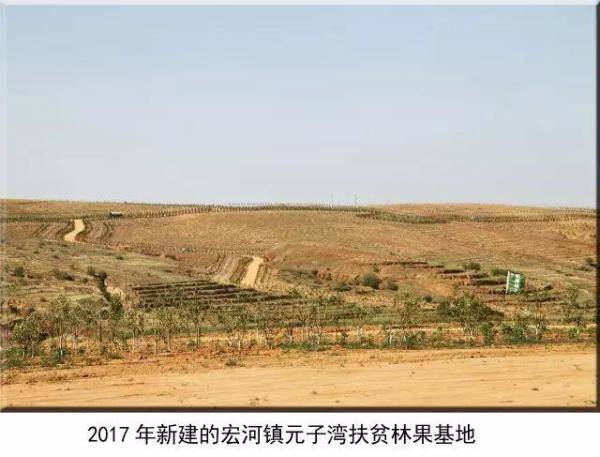 清水河县林业发展历程和变迁，长沙林业发展前景-第10张