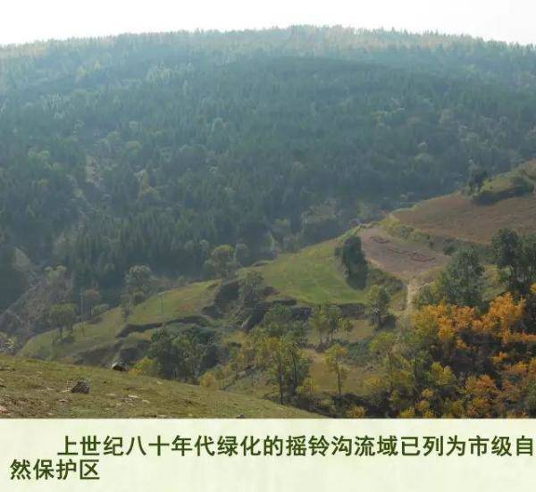 清水河县林业发展历程和变迁，长沙林业发展前景-第15张