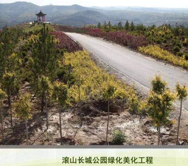 清水河县林业发展历程和变迁，长沙林业发展前景-第20张
