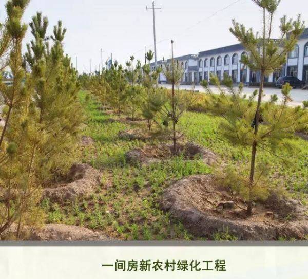 清水河县林业发展历程和变迁，长沙林业发展前景-第21张