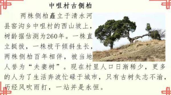 清水河县林业发展历程和变迁，长沙林业发展前景-第23张