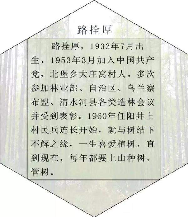 清水河县林业发展历程和变迁，长沙林业发展前景-第34张