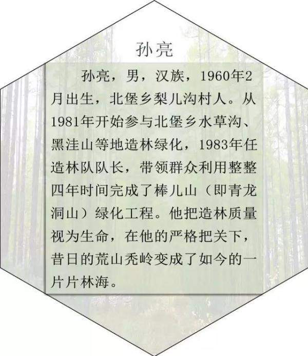 清水河县林业发展历程和变迁，长沙林业发展前景-第36张